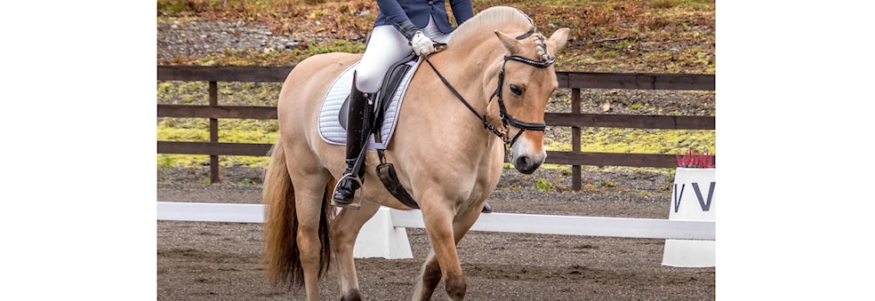 Klubb-stevne i dressurridning hos Valdres Rideskole
